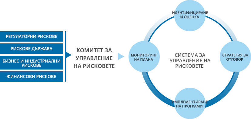 Risk Factors