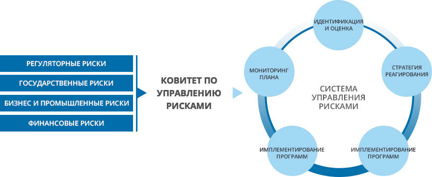 Risk Factors