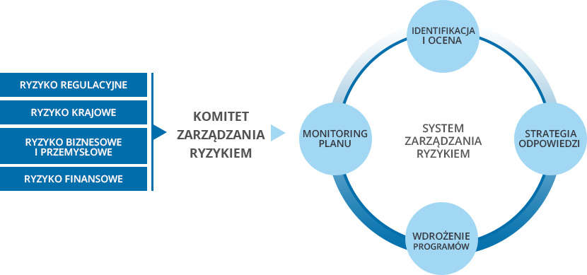 Risk Factors