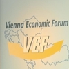 VEF 2017
